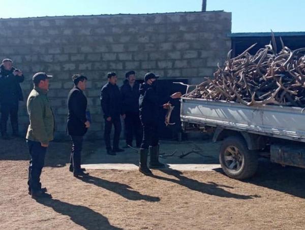 Бугын эврийг их хэмжээгээр хадгалж байсан этгээдүүдийг илрүүллээ