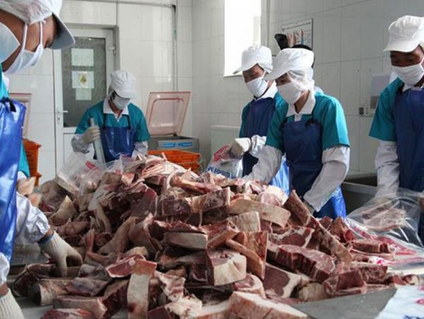 Нөөцийн мах бэлтгэх ажлыг Монгол Улсад албан ёсны бүртгэлтэй аж ахуйн нэгжүүд гүйцэтгэдэг