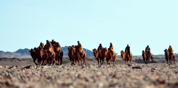 “Gobi challenge-2020” олон өдрийн тэмээн аялал үзэгчдийн хүртээл болно