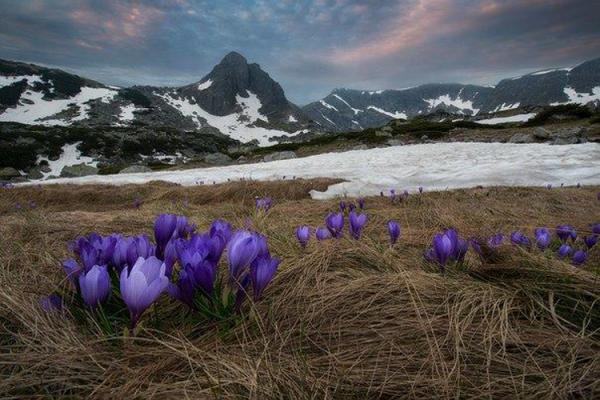 Улаанбаатарт өдөртөө 11 хэм дулаан