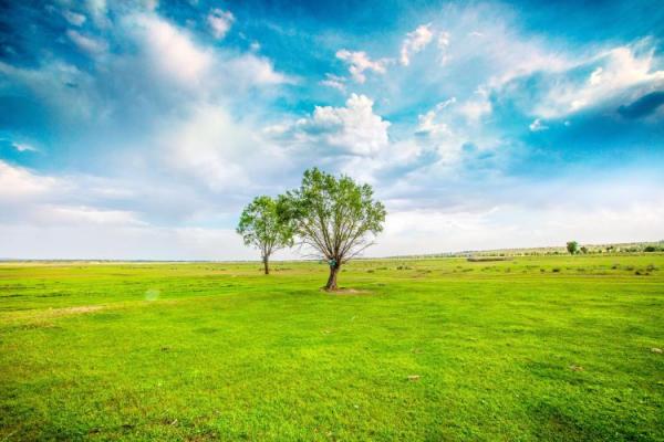 Улаанбаатарт өдөртөө 26 хэм дулаан