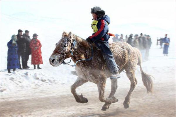 Хурдан морины уралдаан зохион байгуулахаас сэргийлсэн хяналтыг чангатгана