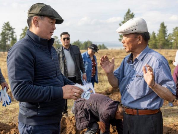 Тужийн нарсны 15 мянган га талбайг ойжуулжээ