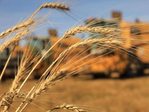 Ургац хураалтад иргэдийг сайн дураар оролцуулна