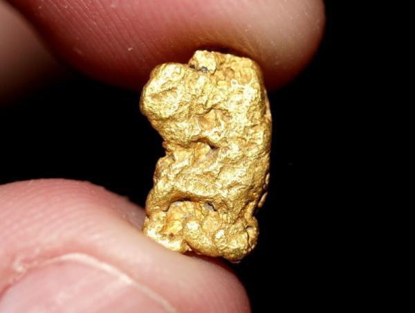 Зохих зөвшөөрөлгүй олборлосон 336.3 грамм алтыг хураан авч Монголбанкинд тушаалаа