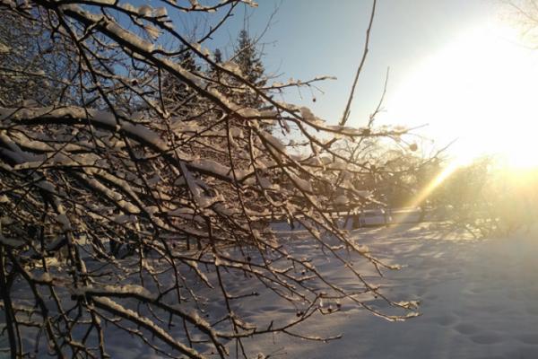 Өнөөдөр ихэнх нутгаар цаг агаар тогтуун байна