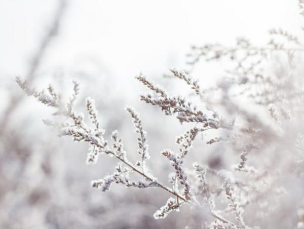 Улаанбаатарт өдөртөө 5 хэм хүйтэн