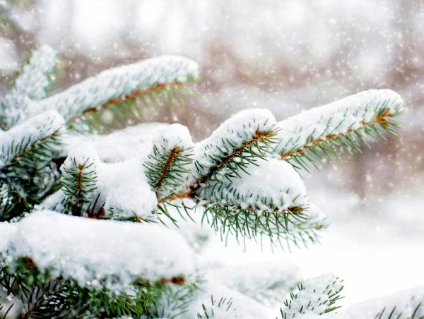 Улаанбаатарт өдөртөө 12 хэм хүйтэн