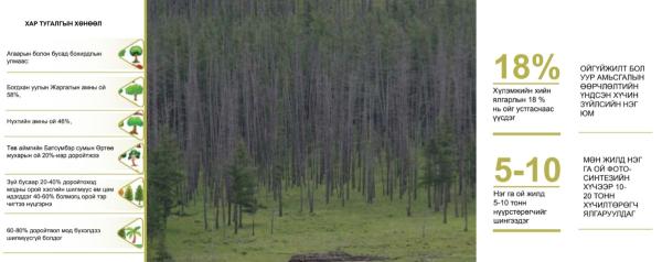 #COP17 Хар тугалгын хөнөөл...