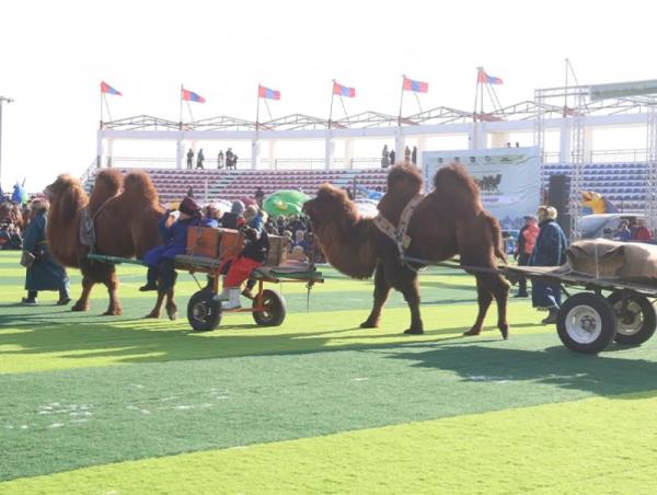 Тэмээний наадамд 16 аймгаас 1000 гаруй хүн оролцов