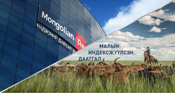 &ldquo;Малын индексжүүлсэн даатгалын нэгдүгээр босго үзүүлэлтийг таван хувь болгож буурууллаа