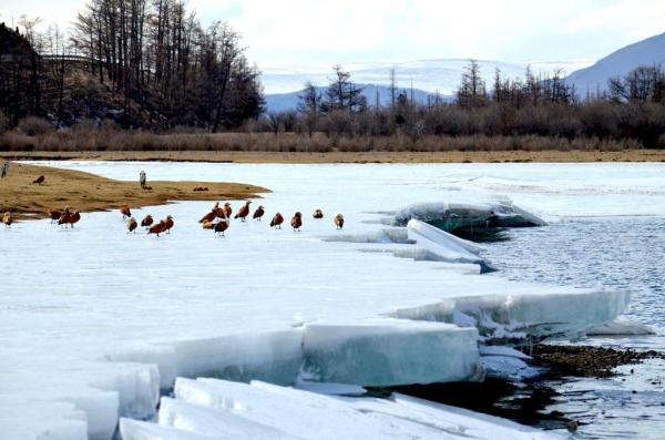 Арав хоногийн цаг агаарын урьдчилсан төлөв