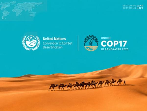 COP17: Монголын ойн салбарт шинэлэг санхүүжилт, хөрөнгө оруулалтын боломжийг хэлэлцлээ