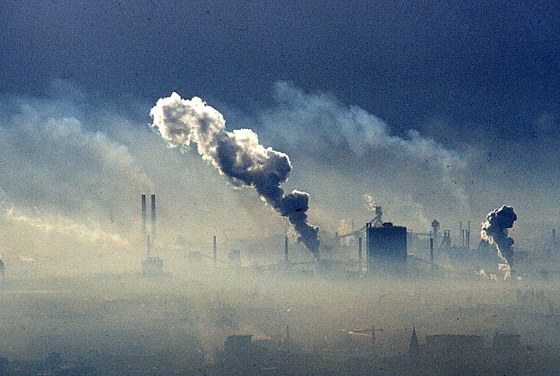 Агаарын бохирдол урагт хэрхэн нөлөөлж байгааг судална