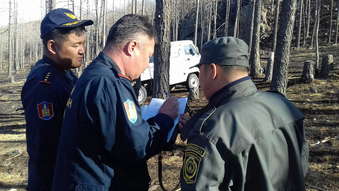 Богд ууланд гарсан түймрийг бүрэн унтраав