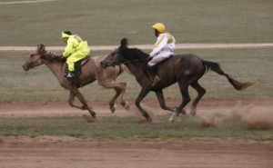 Морь унаач хүүхдийн хамгаалалтын хувцасны стандартыг мөрдөж эхэллээ