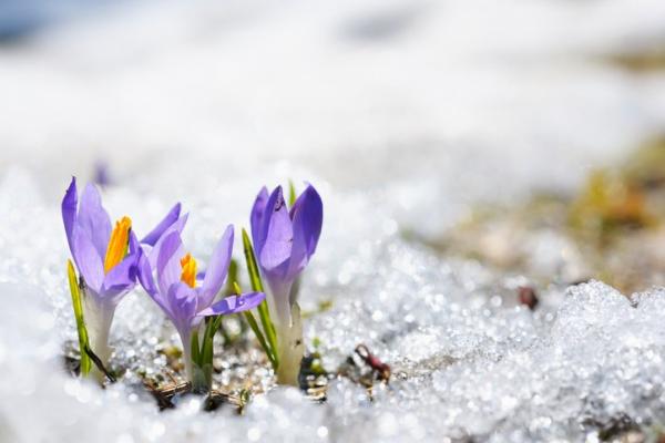 Улаанбаатарт өдөртөө 9 хэм дулаан
