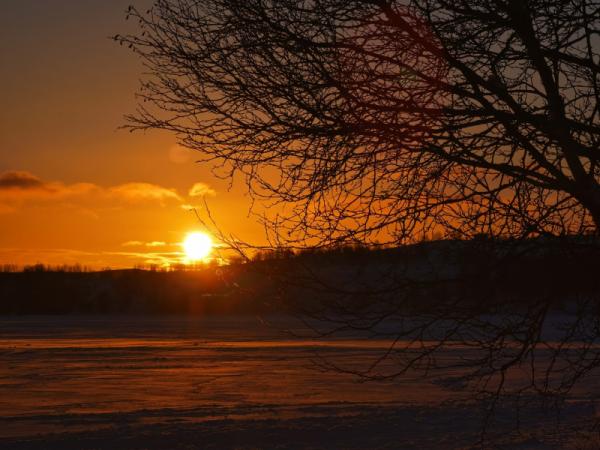 Улаанбаатарт өдөртөө 7 хэм дулаан