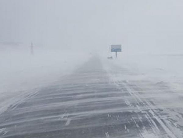 Цасан шуургатай үед уруудсан малынхаа араас явахгүй байхыг анхааруулж байна