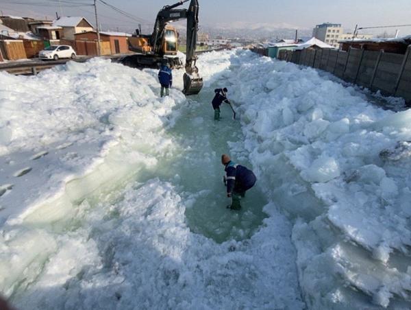 Нийслэлийн 19 байршилд халиа тошин үүсжээ