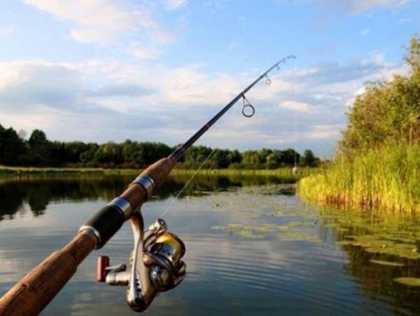 Үржлийнх нь үед загас агнаж, барихыг хориглоно