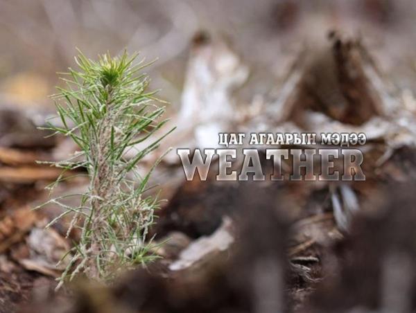 Ойрын 10 хоногт цаг агаар ямар байх вэ