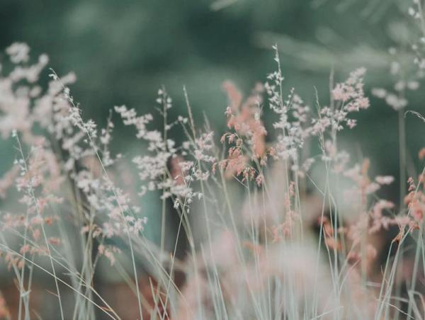 Ирэх 10 хоногийн цаг агаарын урьдчилсан төлөв