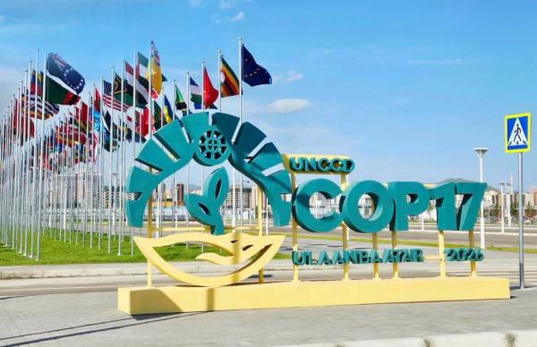 COP17 бага хурлын үеэр ажиллах 600 сайн дурын ажилтныг бэлтгэж байна